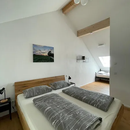 Apartment Eifel-ferienhaus, Haus Achtzehn77 *